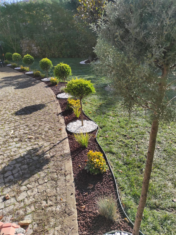 project-image