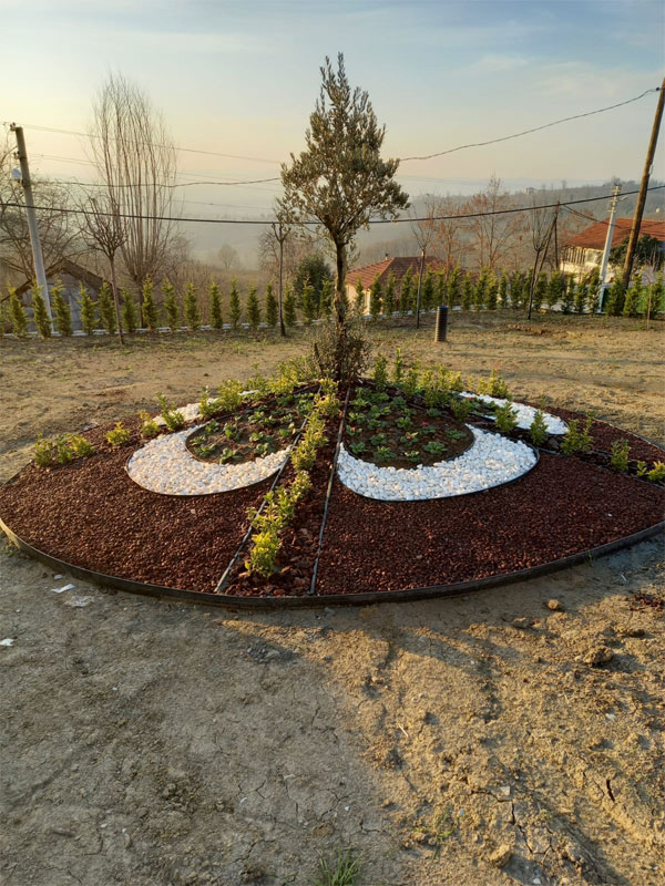 project-image