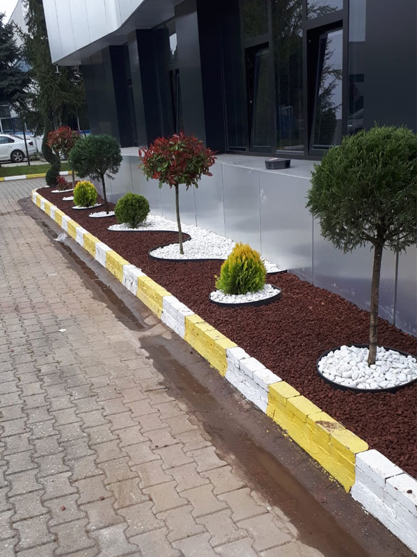 project-image