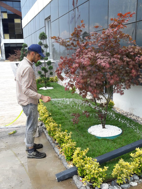 project-image