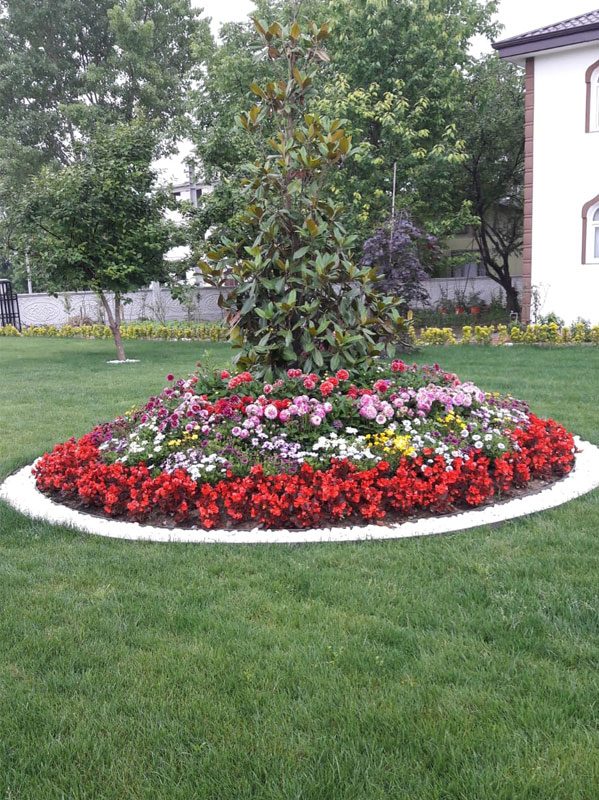 project-image