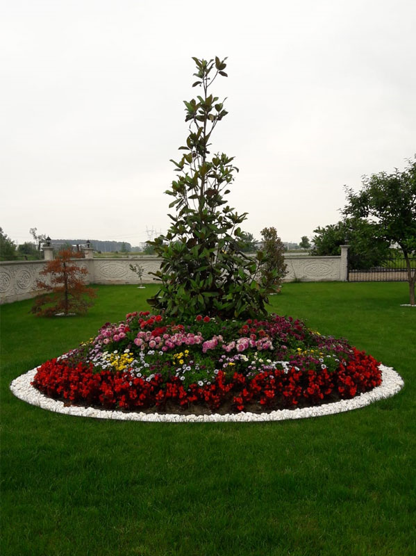 project-image