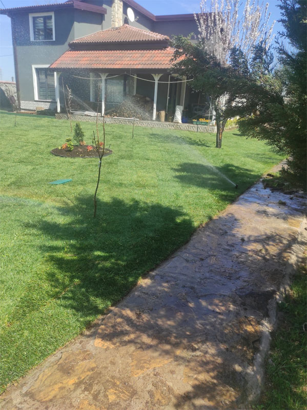 project-image