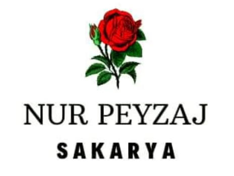 Nur Peysaj