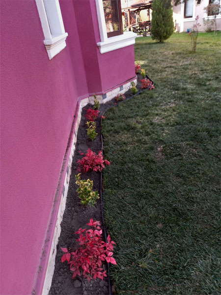 project-image
