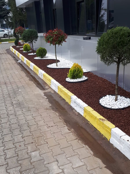 project-image